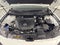 2024 Mazda Mazda CX-50 2.5 S Select Package