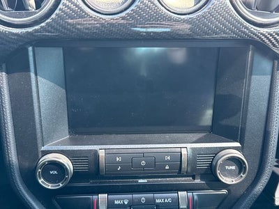 2019 Ford Mustang Shelby GT350