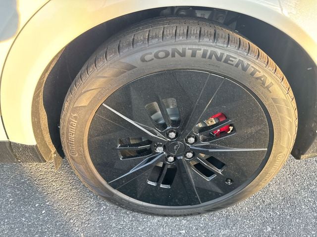 2025 Ford Mustang Mach-E GT - Photo 10