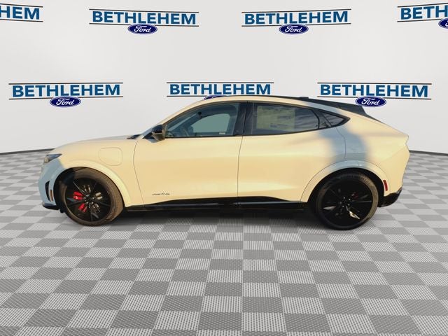 2025 Ford Mustang Mach-E GT - Photo 5