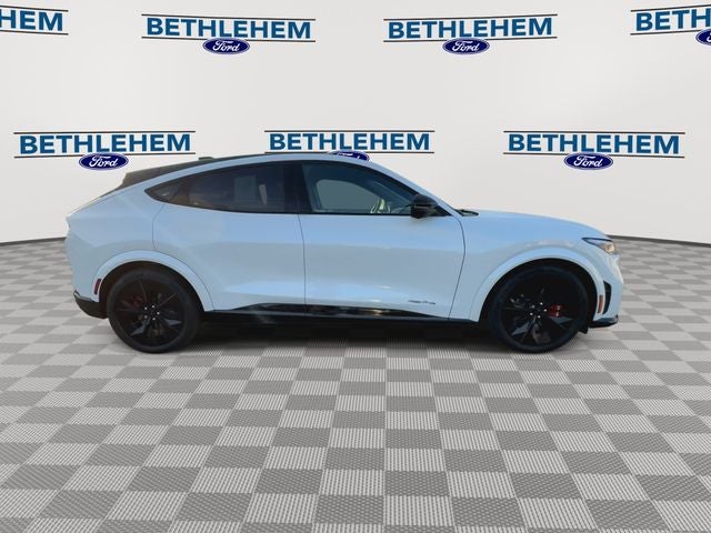 2025 Ford Mustang Mach-E GT - Photo 9