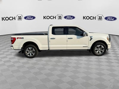 2021 Ford F-150 Platinum