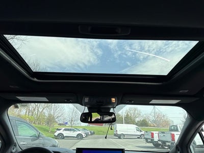 2025 Toyota Sienna Woodland Edition 7 Passenger