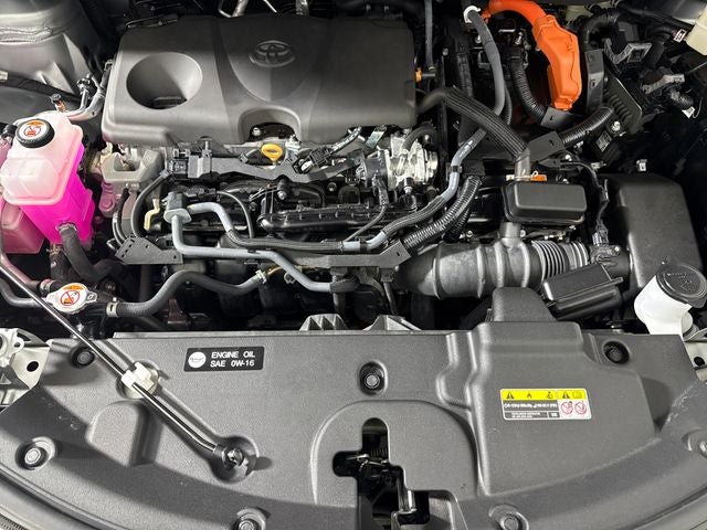 2025 Toyota Sienna XSE 7 Passenger